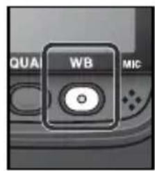 QUAL WB MIC