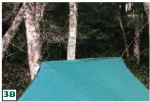 Hilleberg Rajd - Using the Rajd with Poles. - 1