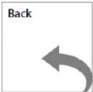 Back