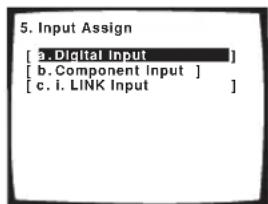 PIONEER VSX-1014 - Assigning the digital inputs - 1