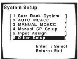 PIONEER VSX-1014 - Select 'Other Setup' then press ENTER. - 1