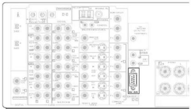 PIONEER VSX-1014 - About the RS-232C connector - 1
