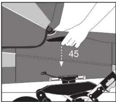 45