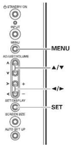 STANDRY/ON INPUT MENU ADJUST/VOLUME SET/DISPLAY SCREEN SIZE AUTO SET UP MENU SET ▲/▼ ◄/►