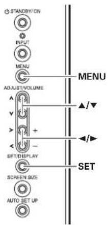 STANDRY/CN INPUT MENU ADJUST/VOLUME SET/DISPLAY SCREEN SIZE AUTO SET UP MENU SET ▲/▼ ◄/►