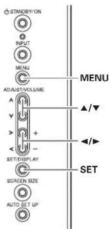 STANDBY/ON INPUT MENU ADJUST/VOLUME SET/DISPLAY SCREEN SIZE AUTO SET UP MENU ▲/▼ ◄/► SET