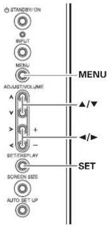 STANDBY/ON INPUT MENU ADJUST/VOLUME SET/DISPLAY SCREEN SIZE AUTO SET UP MENU ▲/▼ ◄/► SET