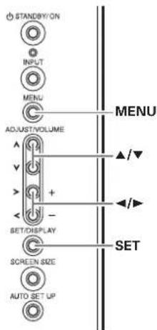 STANDBY/ON INPUT MENU ADJUST/VOLUME SET/DISPLAY SCREEN SIZE AUTO SET UP MENU SET ▲/▼ ▲/▼