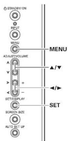 STANDBY/ON INPUT MENU ADJUST/VOLUME ▲/▼ ▲/▼ SET/DISPLAY SCREEN SIZE AUTO SET UP MENU SET