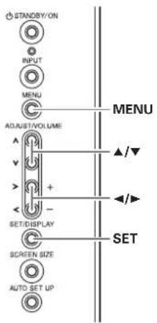 STANDBY/ON INPUT MENU ADJUST/VOLUME SET/DISPLAY SCREEN SIZE AUTO SET UP MENU ▲/▼ ◄/► SET