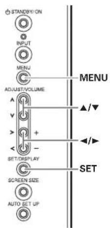 STANDBY/ON INPUT MENU ADJUST/VOLUME SET/DISPLAY SCREEN SIZE AUTO SET UP MENU SET ▲/▼ ◄/►
