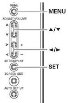 MENU ADJUST/VOLUME ▲/▼ SET/DISPLAY SCREEN SIZE AUTO SET UP MENU ←/► SET