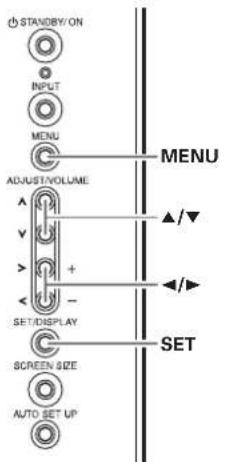 STANDBY/ON INPUT MENU ADJUST/VOLUME SET/DISPLAY SCREEN SIZE AUTO SET UP MENU ▲/▼ ◄/► SET