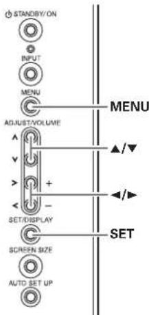 STANDIY/ON INPUT MENU ADJUST/VOLUME SET/DISPLAY SCREEN SIZE AUTO SET UP MENU SET ▲/▼ ▲/▶