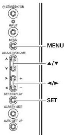 STAND/BY/ON INPUT MENU ADJUST/VOLUME SET/DISPLAY SCREEN SIZE AUTO SET UP MENU SET ▲/▼ ◄/►