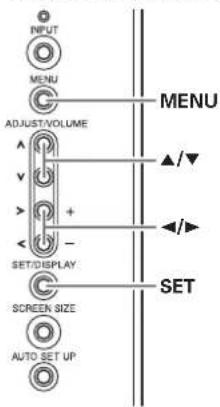 INPUT MENU ADJUST/VOLUME SET/DISPLAY SCREEN SIZE AUTO SET UP MENU ▲/▼ ◄/► SET