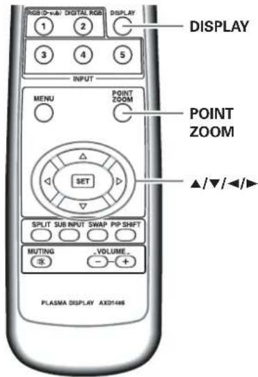 PIONEER PDP-43MXE1 - (點狀放大) - 1
