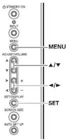 STANDBY/ON INPUT MENU ADJUST/VOLUME SET/DISPLAY SCREEN SIZE AUTO SET UP MENU ▲/▼ ◄/► SET