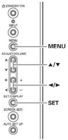 STANDRY/ON INPUT MENU ADJUST/VOLUME SET/DISPLAY SCREEN SIZE AUTO SET UP MENU ▲/▼ ◄/► SET