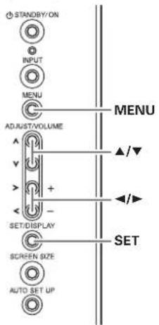 STANDBY/ON INPUT MENU ADJUST/VOLUME SET/DISPLAY SCREEN SIZE AUTO SET UP MENU ▲/▼ ◄/► SET