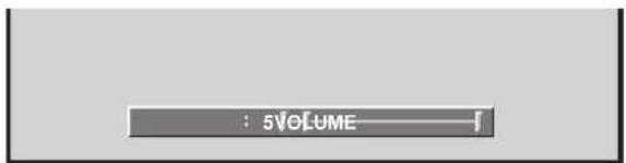 : 5VOLUME
