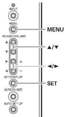 INPUT MENU ADJUSTIVOLUME SET/DISPLAY SCREEN SIZE AUTO SET UP MENU ▲/▼ ◄/► SET