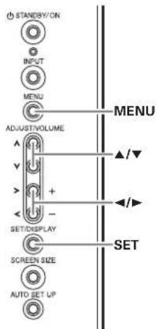 STANDBY/ON INPUT MENU ADJUSTIVOLUME SET/DISPLAY SCREEN SIZE AUTO SET UP MENU SET ▲/▼ ▲/►