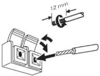 12 mm