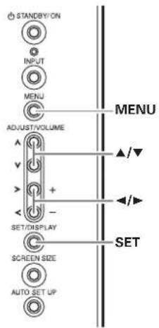 STANDBY/ON INPUT MENU ADJUST/VOLUME SET/DISPLAY SCREEN SIZE AUTO SET UP MENU SET ▲/▼ ◄/►