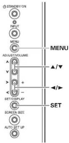 STANDBY/ON INPUT MENU ADJUST/VOLUME SET/DISPLAY SCREEN SIZE AUTO SET UP MENU ▲/▼ ▲/► SET