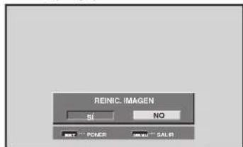 REINIC IMAGEN SF NO POWER SALIS