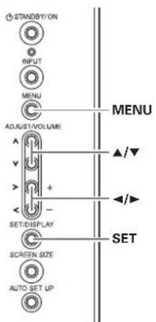 STANDBY/ON INPUT MENU ADJUST/VOLUME SET/DISPLAY SCREEN SIZE AUTO SET UP MENU SET ▲/▼ ◄/►