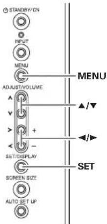 STANDBY/ON INPUT MENU ADJUST/VOLUME SET/DISPLAY SCREEN SIZE AUTO SET UP MENU ▲/▼ ◄/► SET