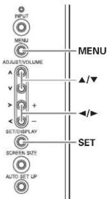 INPUT MENU ADJUST/VOLUME SET/DISPLAY SCREEN SIZE AUTO SET UP MENU SET ▲/▼ ◄/►