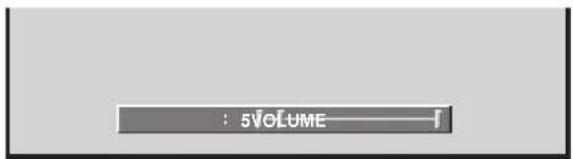 : 5VOLUME