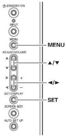 STAND/BY/ON INPUT MENU ADJUST/VOLUME ▲/ ▼ + - SET/DISPLAY SCREEN SIZE AUTO SET UP MENU ▲/▼ ◄/► SET