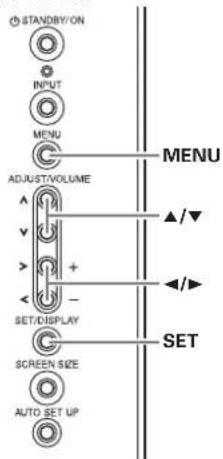 STANDBY/ON INPUT MENU ADJUST/VOLUME SET/DISPLAY SCREEN SIZE AUTO SET UP MENU ▲/▼ ◄/► SET