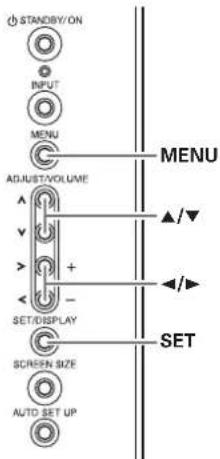 STANDIY/ON INPUT MENU ADJUST/VOLUME SET/DISPLAY SCREEN SIZE AUTO SET UP MENU ▲/▼ ▲/▼ SET