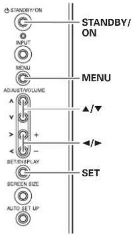 STANDBY/ON INPUT MENU ADJUST/VOLUME ▲/ ▼ + - SET/DISPLAY C SCREEN SIZE AUTO SET UP STANDBY/ON MENU ▲/▼ ◄/► SET