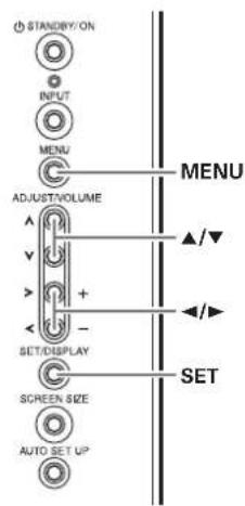 STANDBY/ON INPUT MENU ADJUST/VOLUME SET/DISPLAY SCREEN SIZE AUTO SET UP MENU SET ▲/▼ ▲/►