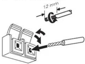 12 mm