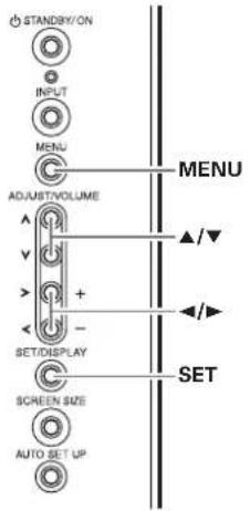 STANDIRY/ON INPUT MENU ADJUST/VOLUME SET/DISPLAY SCREEN SIZE AUTO SET UP MENU SET ▲/▼ ▲/►