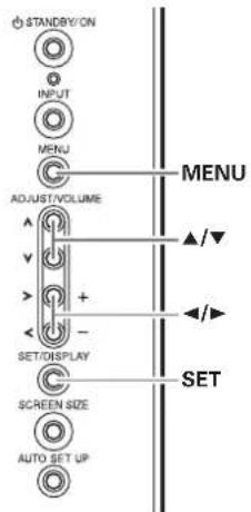 STANDBY/ON INPUT MENU ADJUST/VOLUME SET/DISPLAY SCREEN SIZE AUTO SET UP MENU SET ▲/▼ ▲/▼
