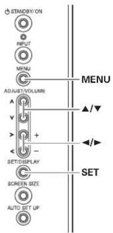 STANDBY/ON INPUT MENU ADJUST/VOLUME SET/DISPLAY SCREEN SIZE AUTO SET UP MENU ▲/▼ ◄/► SET
