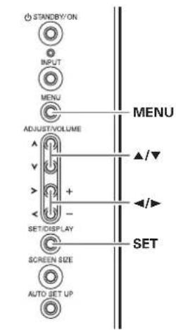 STANDBY/ON INPUT MENU ADJUST/VOLUME SET/DISPLAY SCREEN SIZE AUTO SET UP MENU SET ▲/▼ ▲/▼