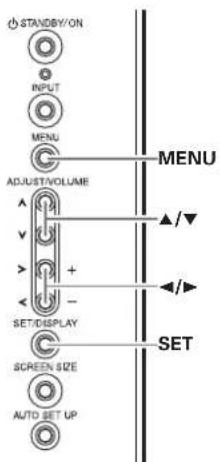 STANDBY/ON INPUT MENU ADJUST/VOLUME SET/DISPLAY SCREEN SIZE AUTO SET UP MENU ▲/▼ ◄/► SET