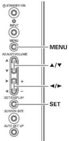 STANDBY/ON INPUT MENU ADJUST/VOLUME SET/DISPLAY SCREEN SIZE AUTO SET UP MENU ▲/▼ ←/► SET