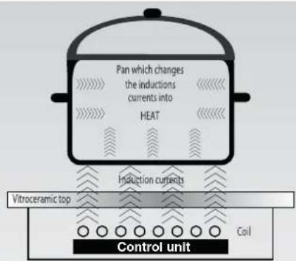 Pan which changes the inductions currents into HEAT Induction currents Vitroceramic top Coil Control unit