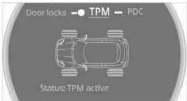 Door locks TPM PDC Status: TPM active