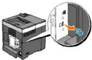 DELL 2130cn - Installation af den trådløse printeradapter - 1